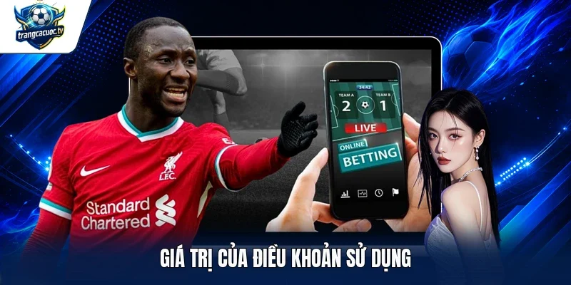 Giá trị của điều khoản sử dụng 