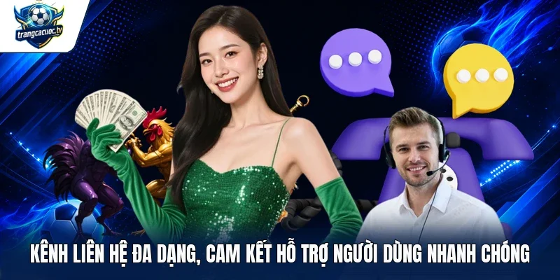 Kênh liên hệ đa dạng, cam kết hỗ trợ người dùng nhanh chóng 