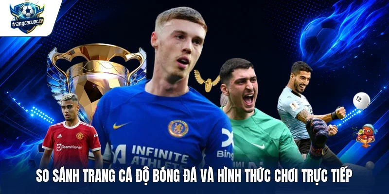 So sánh trang cá độ bóng đá và hình thức chơi trực tiếp