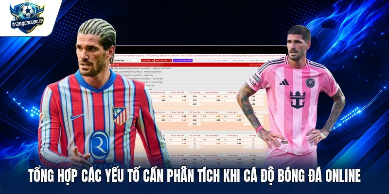 Tổng hợp các yếu tố cần phân tích khi cá độ bóng đá online