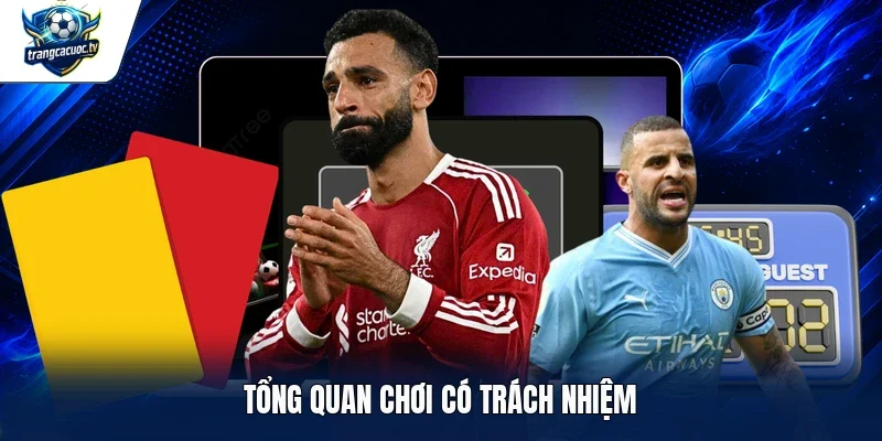 Tổng quan chơi có trách nhiệm