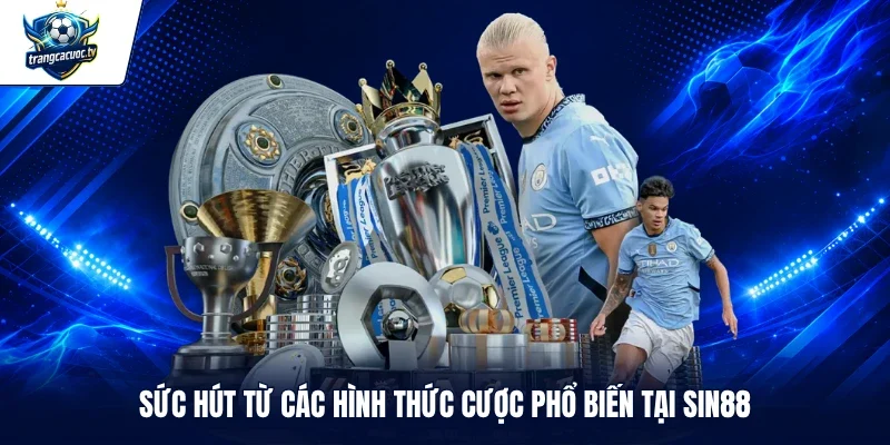 Sức hút từ các hình thức cược phổ biến tại SIN88